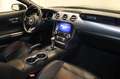 Ford Mustang 5.0 Cabrio Aut.-Navi-Kamera-LED-KESSY- Schwarz - thumbnail 14
