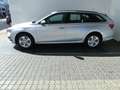Skoda Octavia 4x4 Ambition TDI DSG Argent - thumbnail 3