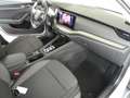Skoda Octavia 4x4 Ambition TDI DSG Argent - thumbnail 15