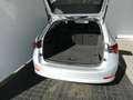 Skoda Octavia 4x4 Ambition TDI DSG Argent - thumbnail 20