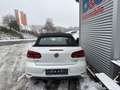 Volkswagen Golf VI Cabriolet Allstar BMT Weiß - thumbnail 4