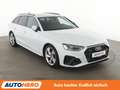 Audi A4 40 TFSI quattro S line Aut.*NAVI*LED*ACC*CAM* Weiß - thumbnail 8