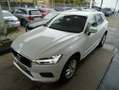 Volvo XC60 D4 Momentum Pro,Leder,AHK,Kamera,IntelliSafe Wit - thumbnail 10