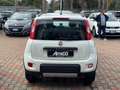 Fiat Panda 1.3 MJT 4x4 Euro 6 Solo 120.000km Biały - thumbnail 6