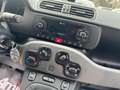 Fiat Panda 1.3 MJT 4x4 Euro 6 Solo 120.000km Biały - thumbnail 16