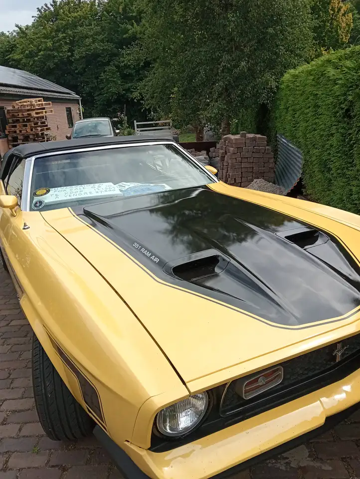 Ford Mustang cabrio 302 v8, foto 5