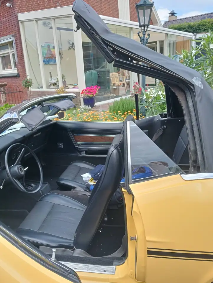 Ford Mustang cabrio 302 v8, foto 6