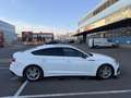 Audi A5 S-line 35 TDI S tronic Weiß - thumbnail 3