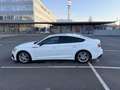 Audi A5 S-line 35 TDI S tronic Weiß - thumbnail 6