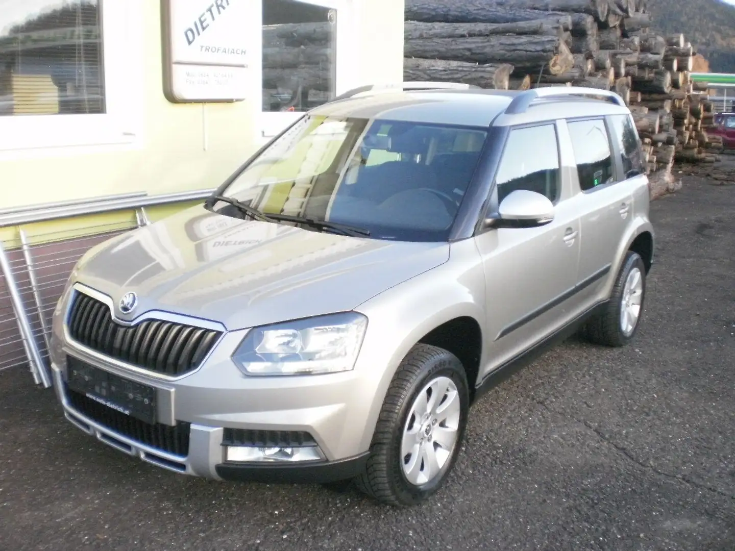 Skoda Yeti Yeti Active 2,0 TDI 4x4 Active Grau - 1