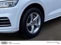 Audi Q5 50 TFSI e quattro PANO XENON MMI KAMERA Weiß - thumbnail 10