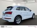 Audi Q5 50 TFSI e quattro PANO XENON MMI KAMERA Weiß - thumbnail 5
