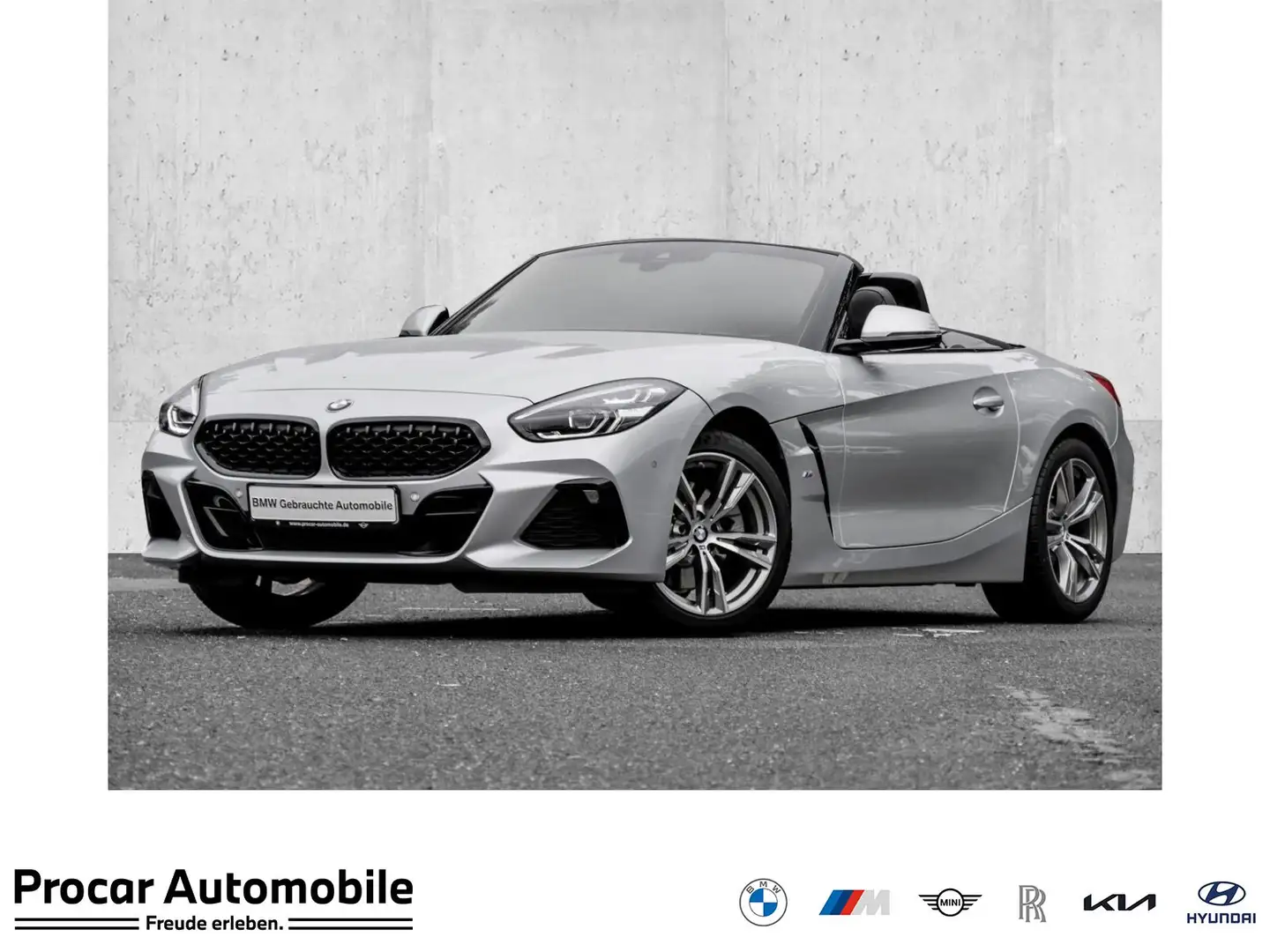BMW Z4 sDrive30i ADAPT.LED+DA+PA+HiFI+LHZ+SHZ Grau - 1