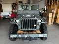 Jeep Willys MB Grün - thumbnail 2