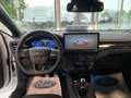 Ford Focus ST-LINE X 1.0 HYBRID 125CV Bianco - thumbnail 9