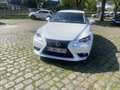 Lexus IS 300 is 300h - thumbnail 6