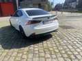 Lexus IS 300 is 300h - thumbnail 5
