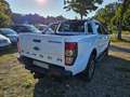 Ford Ranger Wildtrak Doppelkabine 4x4,AHK,3500kg Bianco - thumbnail 6
