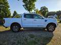 Ford Ranger Wildtrak Doppelkabine 4x4,AHK,3500kg Bianco - thumbnail 4