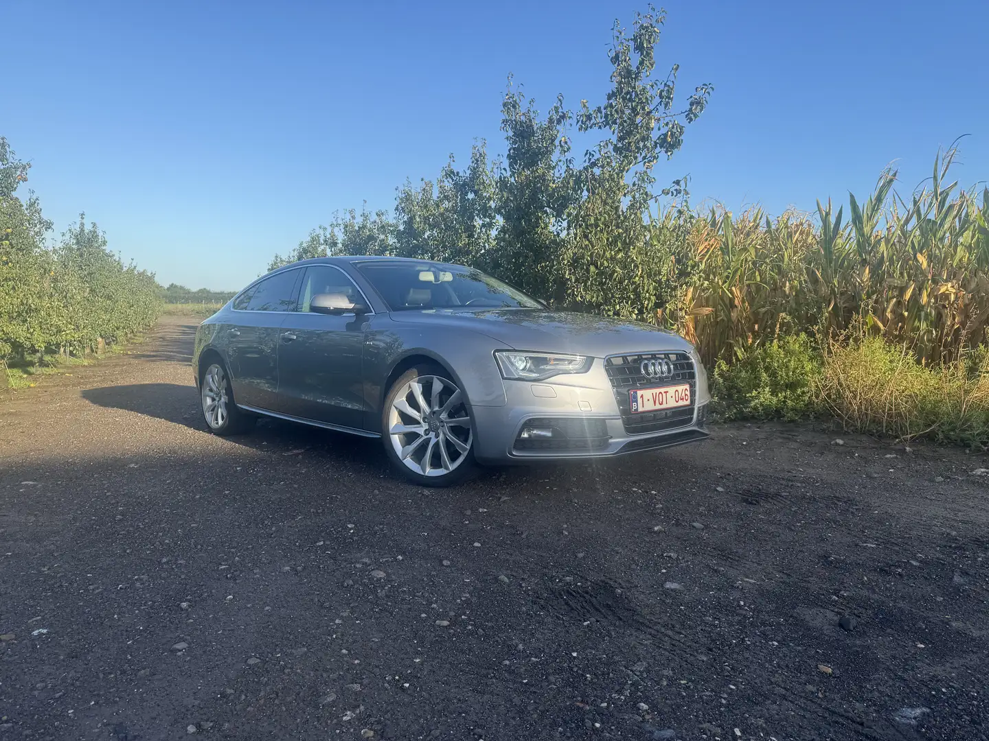 Audi A5 2.0 TDI Sportback DPF (clean diesel) - 2
