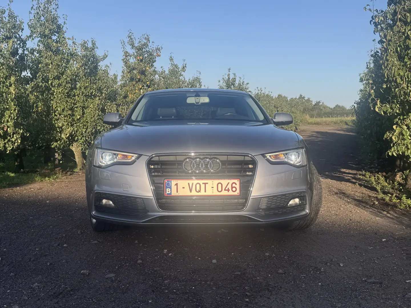 Audi A5 2.0 TDI Sportback DPF (clean diesel) - 1