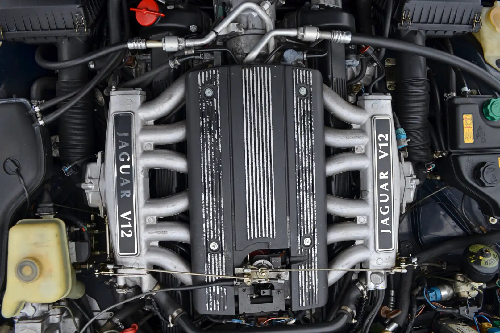 Jaguar XJ12 XJ12 6.0 Motor u. Kühlsystem überholt Blau - 2