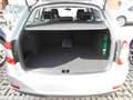 Skoda Octavia Octavia Wagon 1.5 g-tec Executive 130cv dsg Argento - thumbnail 12