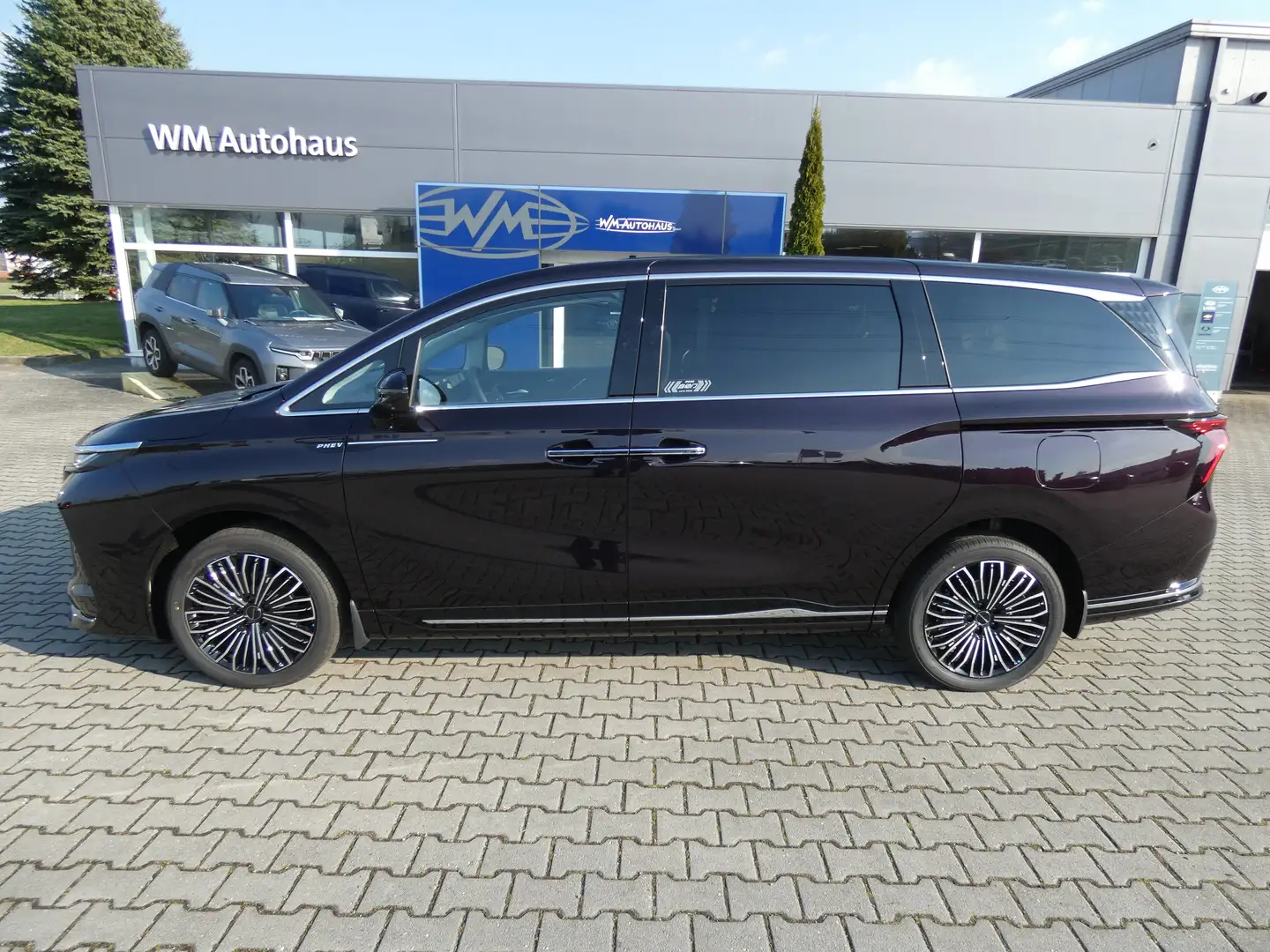 DFM Forthing 9 PHEV 1,5T Benzin/Hybrid, 7 Sitzer, Autom., Massage Violett - 2