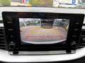 Kia XCeed 1.0 T-GDi Style NEOPATENTATI Bianco - thumbnail 8