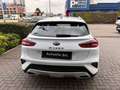 Kia XCeed 1.0 T-GDi Style NEOPATENTATI Bianco - thumbnail 5