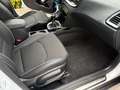 Kia XCeed 1.0 T-GDi Style NEOPATENTATI Bianco - thumbnail 14