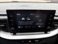 Kia XCeed 1.0 T-GDi Style NEOPATENTATI Bianco - thumbnail 10