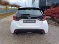 Toyota Yaris 1.5 Hybrid 5 porte Trend Weiß - thumbnail 6