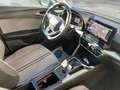 SEAT Leon Leon IV  Sportstourer1.5 etsi Business 150cv dsg Grigio - thumbnail 9