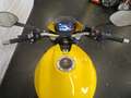 Ducati Monster 821 ABS TERMIONI HISTORIE Geel - thumbnail 10