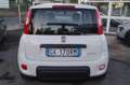 Fiat Panda 1.0 FireFly S&S Hybrid Bianco - thumbnail 5