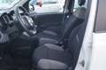 Fiat Panda 1.0 FireFly S&S Hybrid Bianco - thumbnail 8