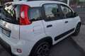 Fiat Panda 1.0 FireFly S&S Hybrid Bianco - thumbnail 4