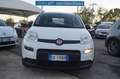 Fiat Panda 1.0 FireFly S&S Hybrid Bianco - thumbnail 1