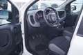 Fiat Panda 1.0 FireFly S&S Hybrid Bianco - thumbnail 7