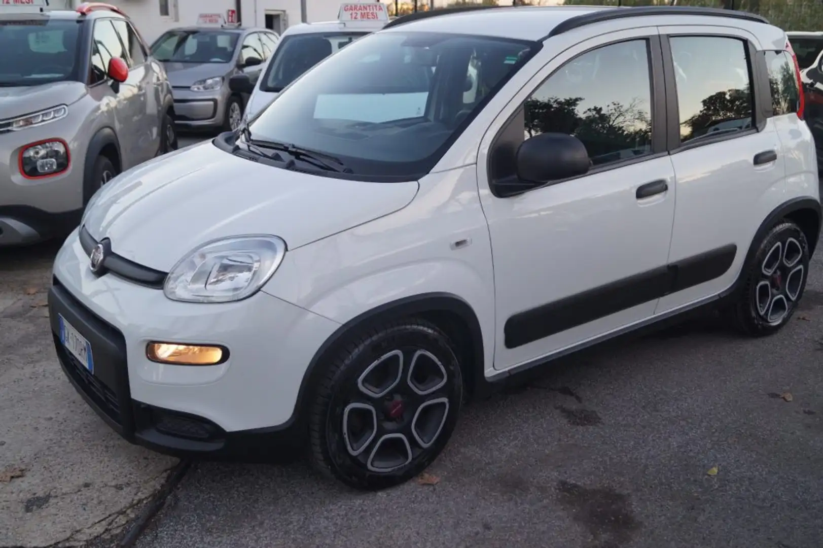 Fiat Panda 1.0 FireFly S&S Hybrid Bianco - 2
