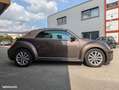 Volkswagen Coccinelle CABRIOLET 1.2 TSI 105ch - thumbnail 4