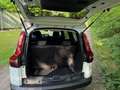 Dacia Jogger TCe Extreme 7PL Blanc - thumbnail 6
