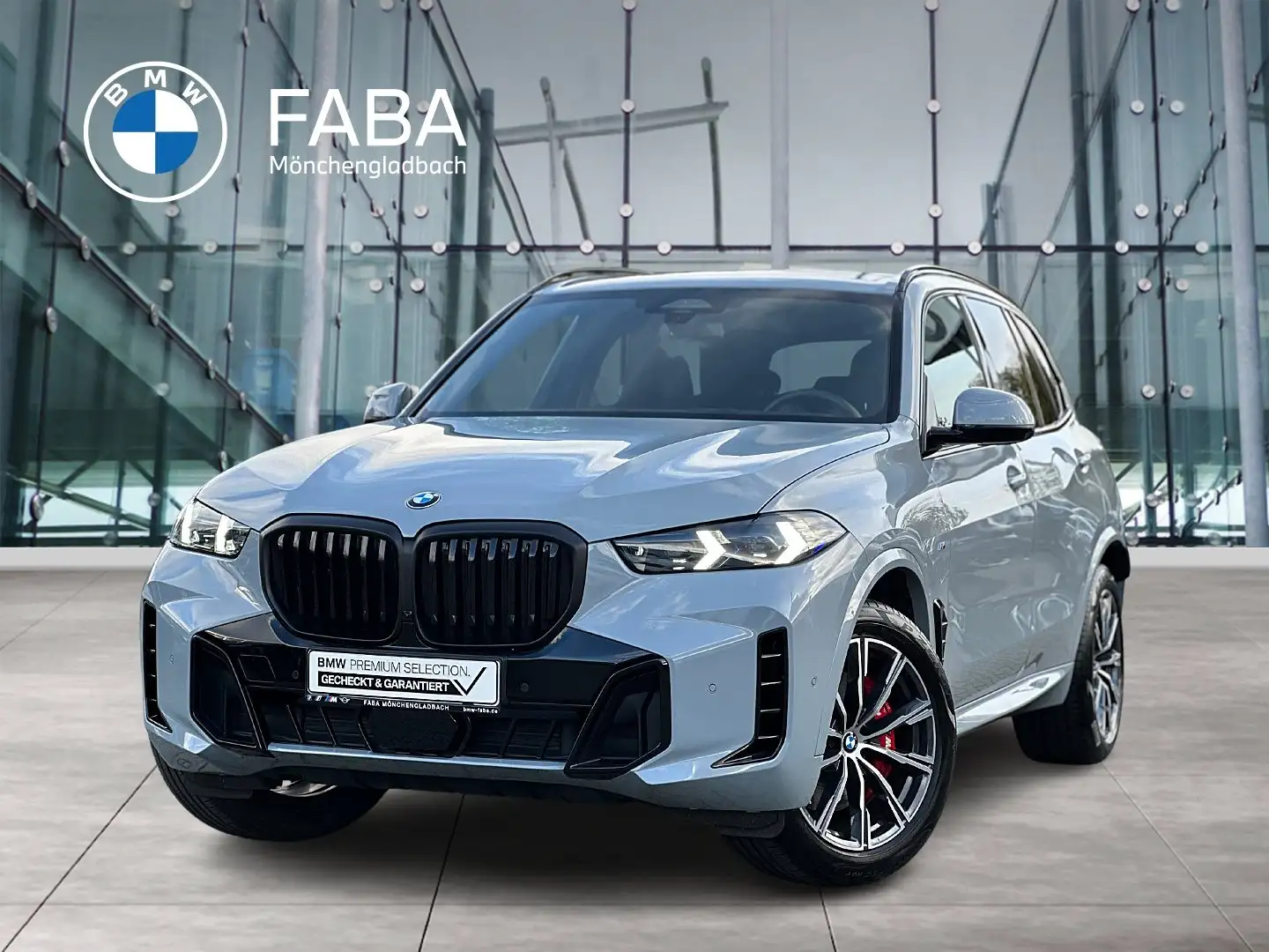 BMW X5 xDrive30d M Sportpaket Gestiksteuerung DAB Grau - 1