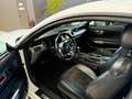 Ford Mustang Fastback 5.0 V8 aut. GT Bianco - thumbnail 7