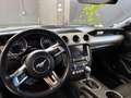Ford Mustang Fastback 5.0 V8 aut. GT Bianco - thumbnail 12
