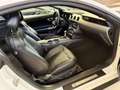 Ford Mustang Fastback 5.0 V8 aut. GT Bianco - thumbnail 11