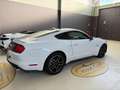 Ford Mustang Fastback 5.0 V8 aut. GT Bianco - thumbnail 6