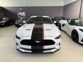 Ford Mustang Fastback 5.0 V8 aut. GT Bianco - thumbnail 2