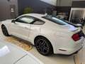 Ford Mustang Fastback 5.0 V8 aut. GT Bianco - thumbnail 4